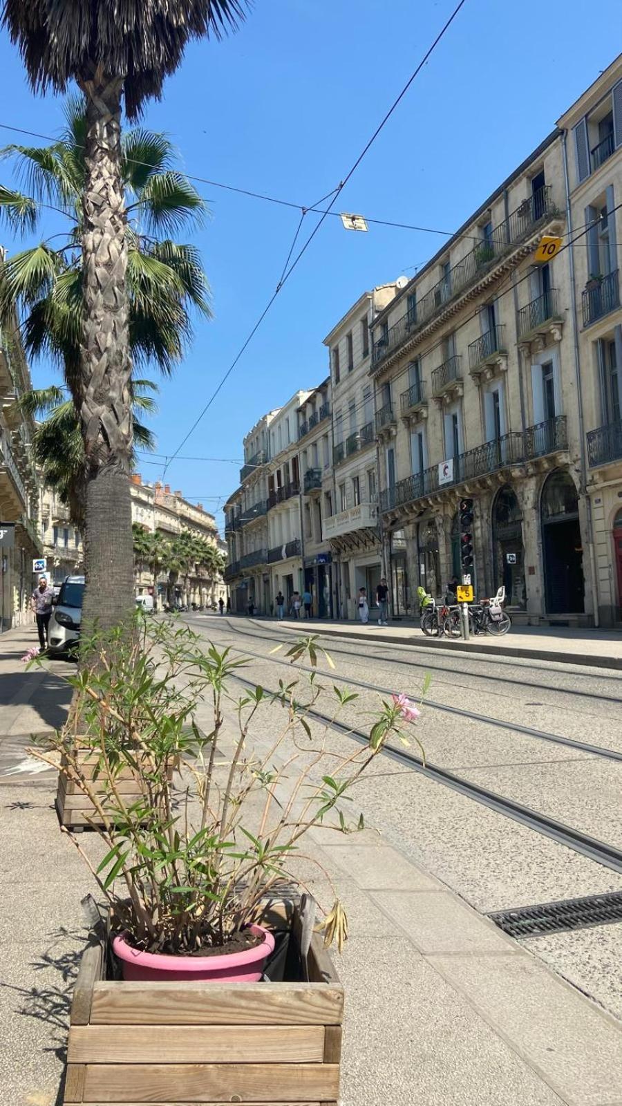 Apartament Renaissance Montpellier Zewnętrze zdjęcie